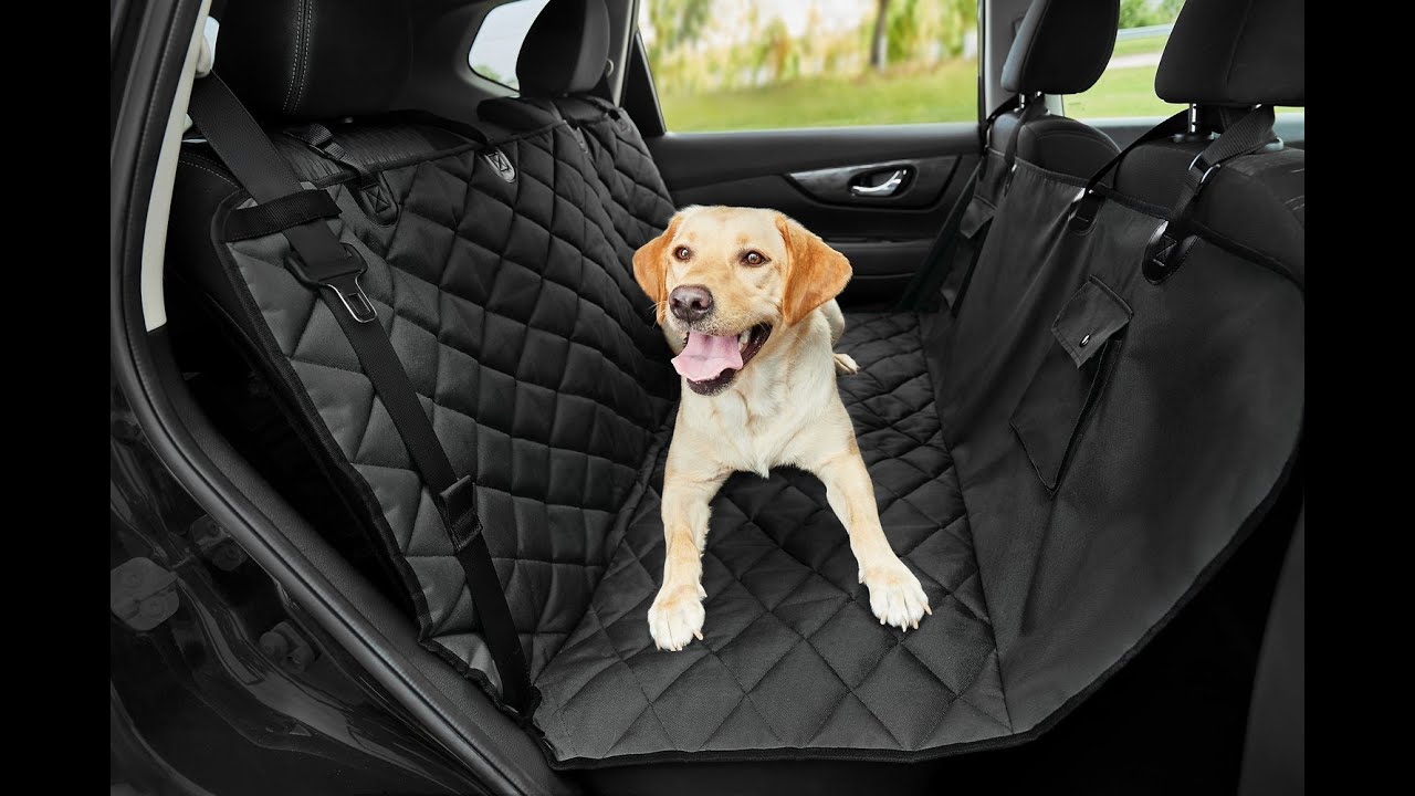 Dog Car Seat Cover discount code-shopify The promotion runs today until 12 00 A.M discount-20%